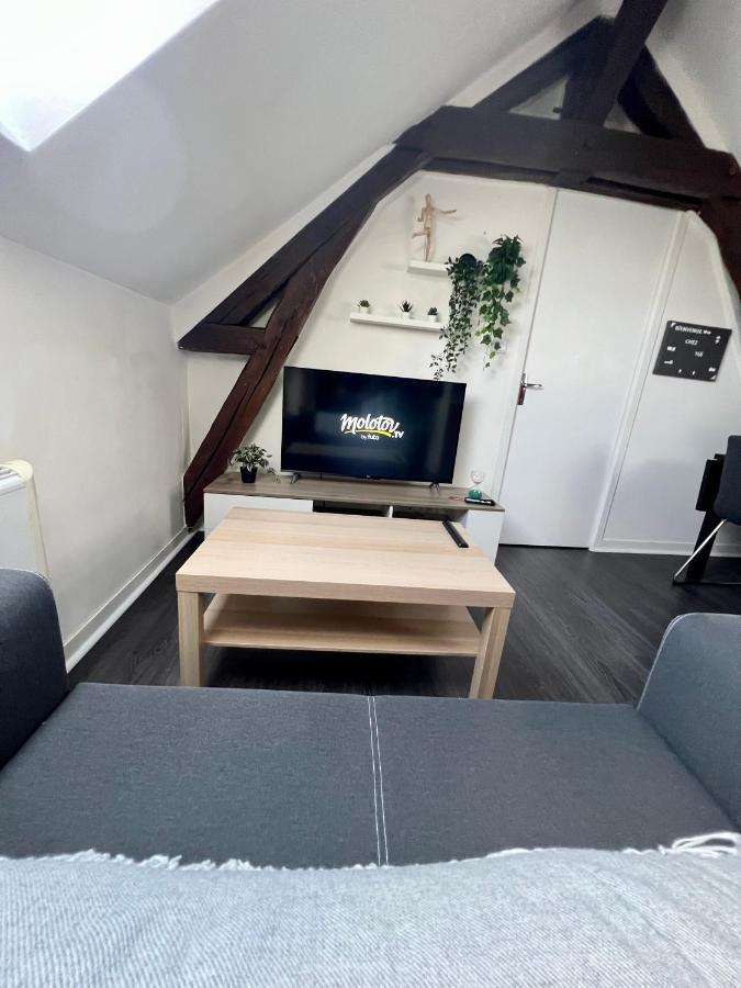 Bel Appartement Lumineux 35M2, Bord De Loire Saint-Jean-le-Blanc Eksteriør bilde