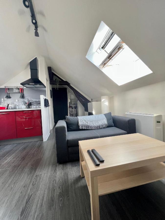 Bel Appartement Lumineux 35M2, Bord De Loire Saint-Jean-le-Blanc Eksteriør bilde