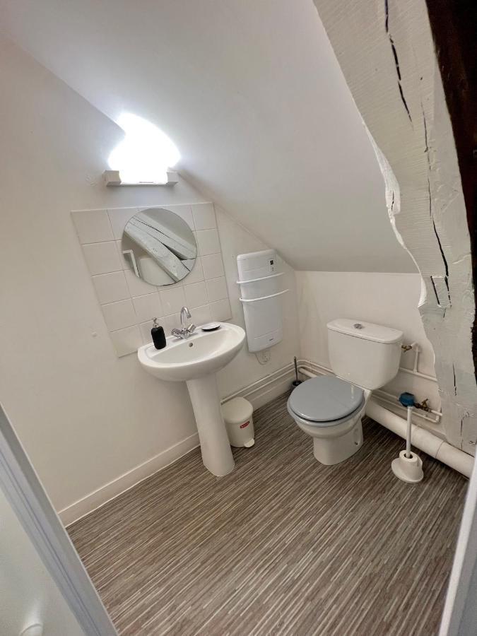 Bel Appartement Lumineux 35M2, Bord De Loire Saint-Jean-le-Blanc Eksteriør bilde