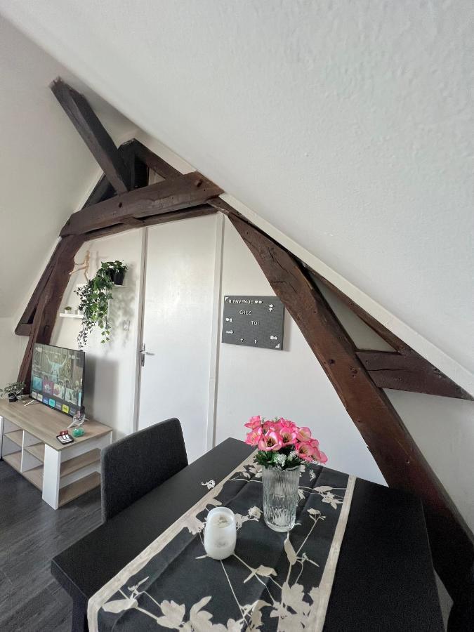 Bel Appartement Lumineux 35M2, Bord De Loire Saint-Jean-le-Blanc Eksteriør bilde