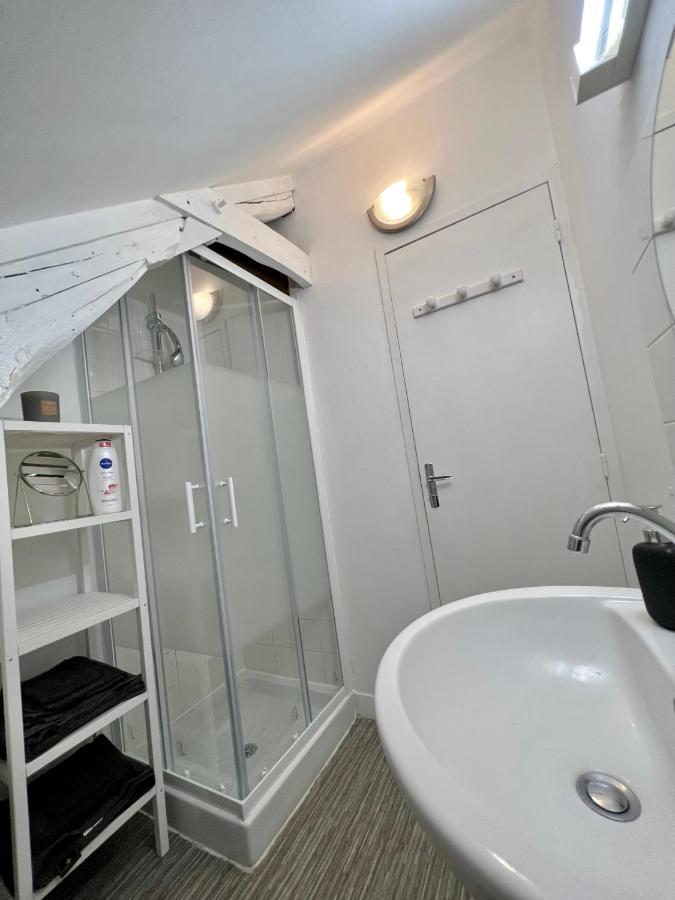 Bel Appartement Lumineux 35M2, Bord De Loire Saint-Jean-le-Blanc Eksteriør bilde