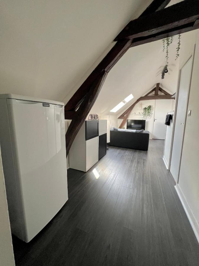 Bel Appartement Lumineux 35M2, Bord De Loire Saint-Jean-le-Blanc Eksteriør bilde