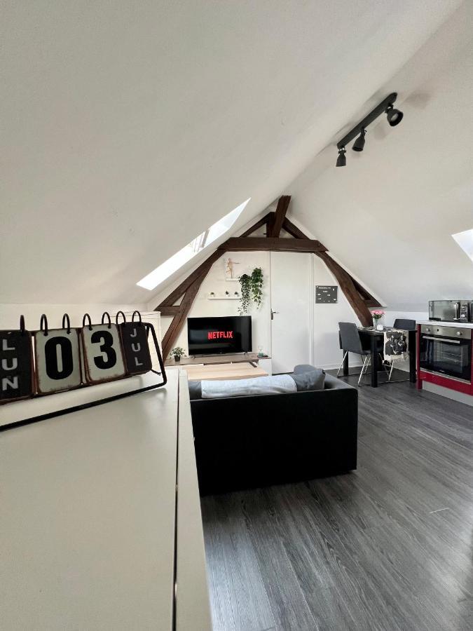 Bel Appartement Lumineux 35M2, Bord De Loire Saint-Jean-le-Blanc Eksteriør bilde
