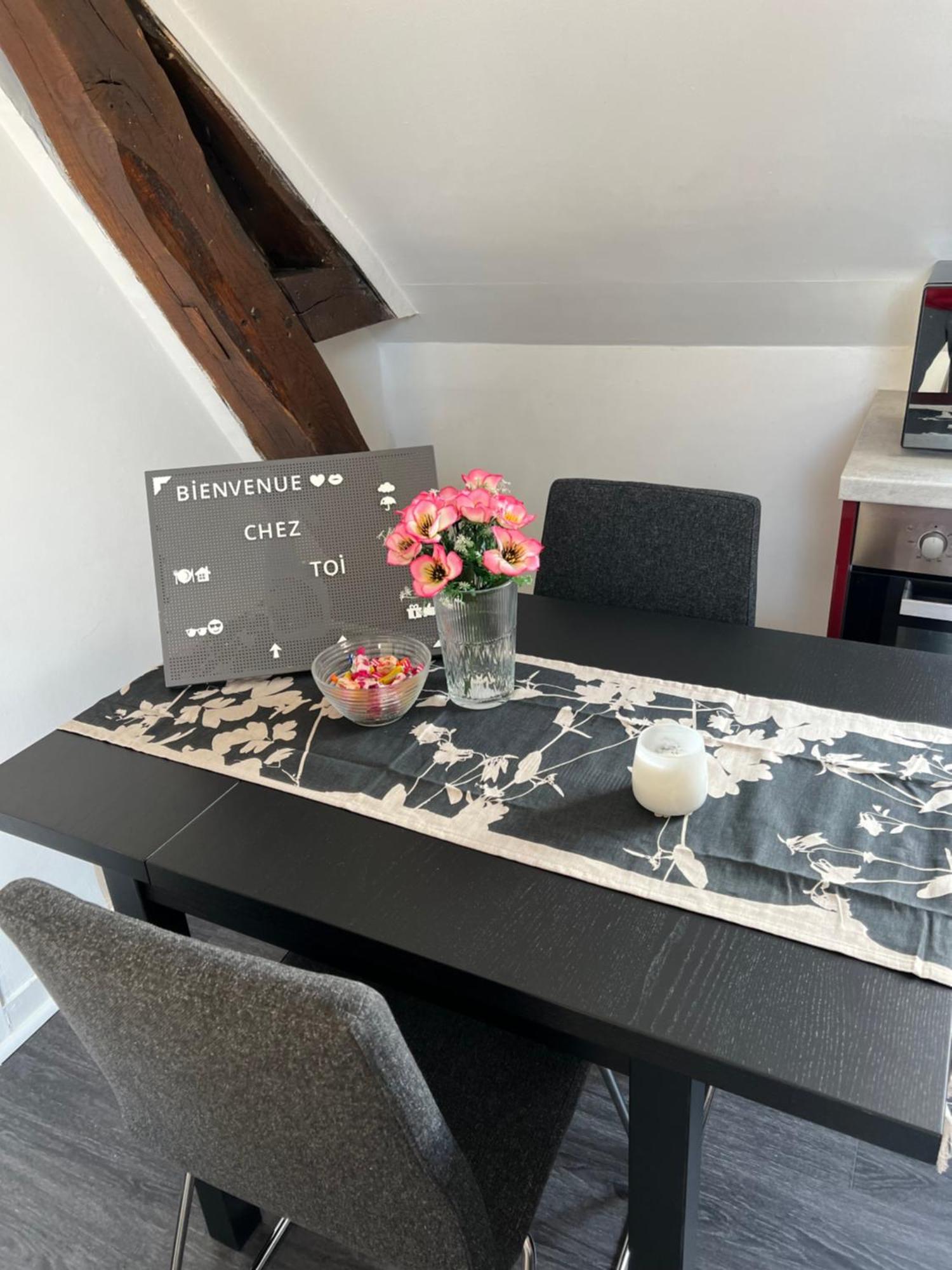 Bel Appartement Lumineux 35M2, Bord De Loire Saint-Jean-le-Blanc Eksteriør bilde